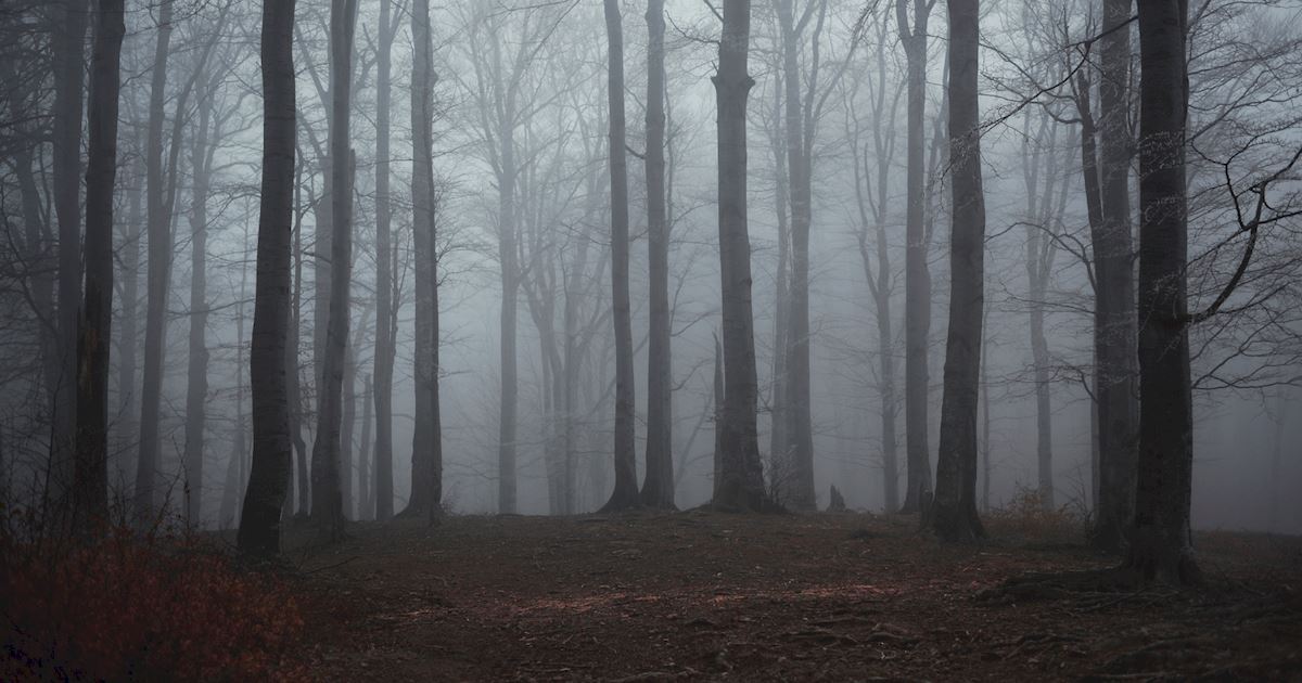 Dead of Summer - 7 Horror Stories You NEED To Share Around The Campfire! - 1003
