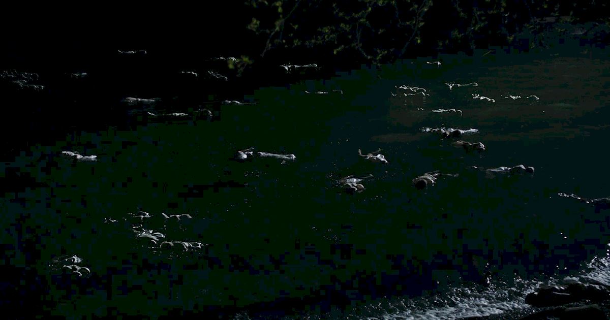 Dead of Summer - 31 Fears We Blame Entirely Upon Our New Horror Obsession - 1004