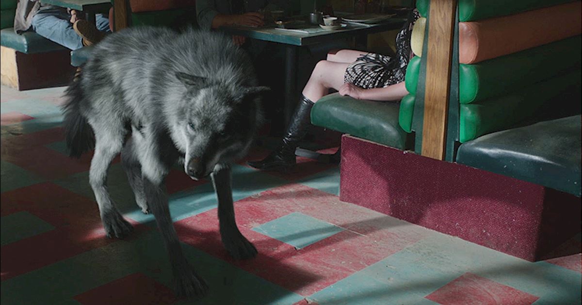 [EXCLUSIVE SNEAK PEEK] Episode Five The New York Werewolf Pack Rises