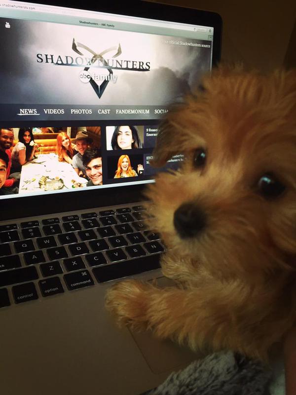 Shadowhunters - Know Any Shadowhunters Newbies? - 1003